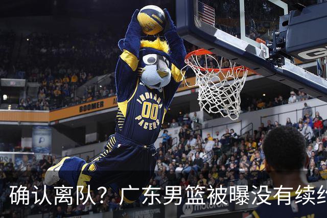 确认离队？广东男篮被曝没有续约杜锋，新主教练人选正式曝光！