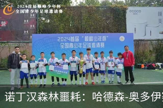 诺丁汉森林噩耗：哈德森-奥多伊赛季报销