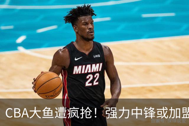 CBA大鱼遭疯抢！强力中锋或加盟广东，杜锋这下偷着乐？
