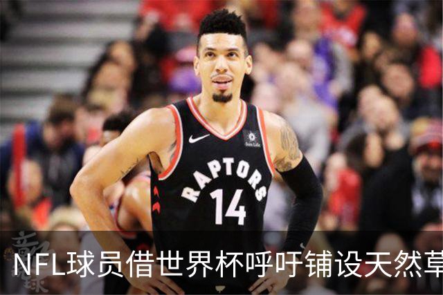 NFL球员借世界杯呼吁铺设天然草，专家：成本问题客观存在，可行性存疑
